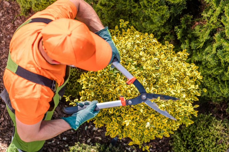 Shrub Pruning in Aiken, SC