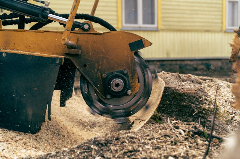 Commercial Stump Grinding in Allentown, PA