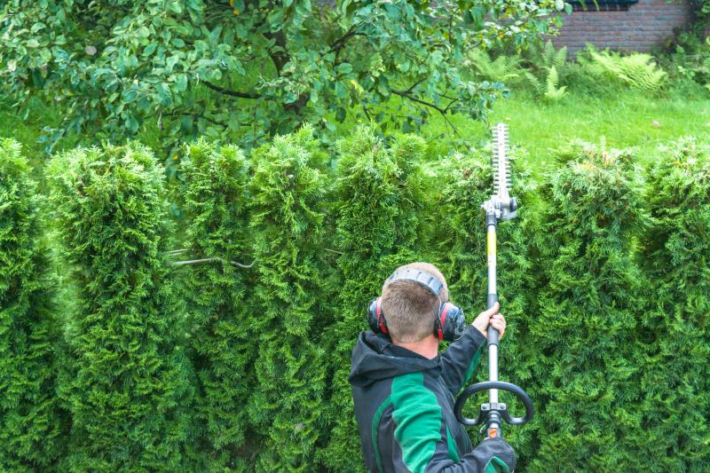 Hedge Trimming in Ventura County, CA