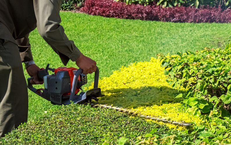 Shrub Trimming in Ventura County, CA
