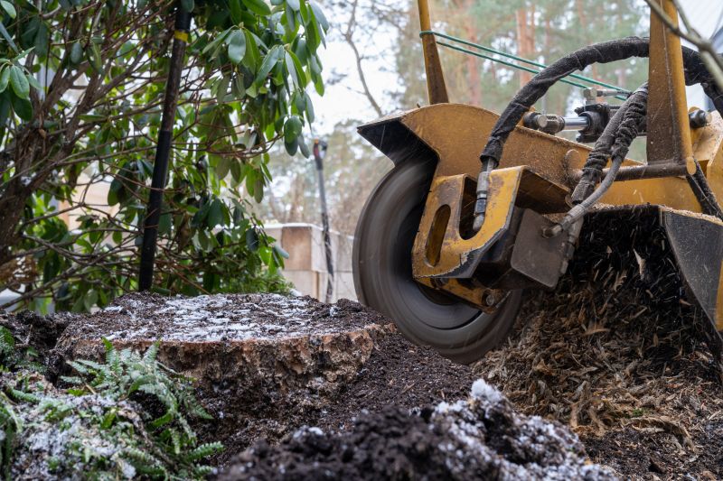 Tree Root Grinding in Calvert County, MD