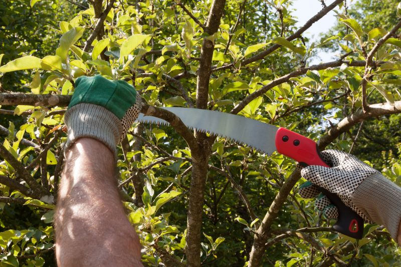 Expert Pruning